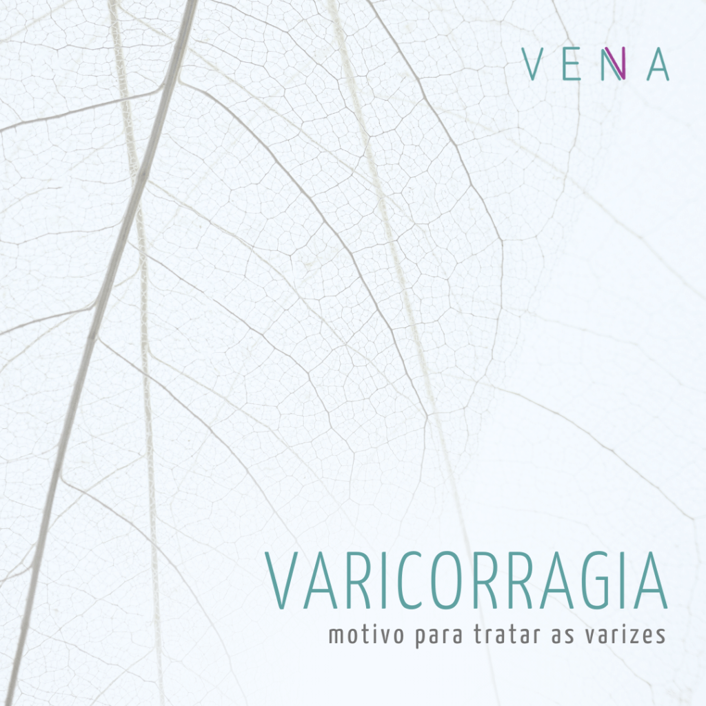 Galhos secos de árvore que lembram veias