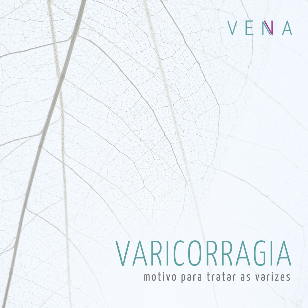 Galhos secos de árvore que lembram veias
