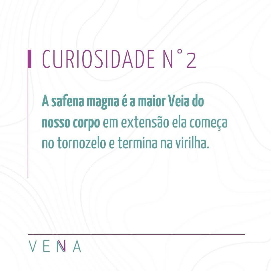 veia-safena
