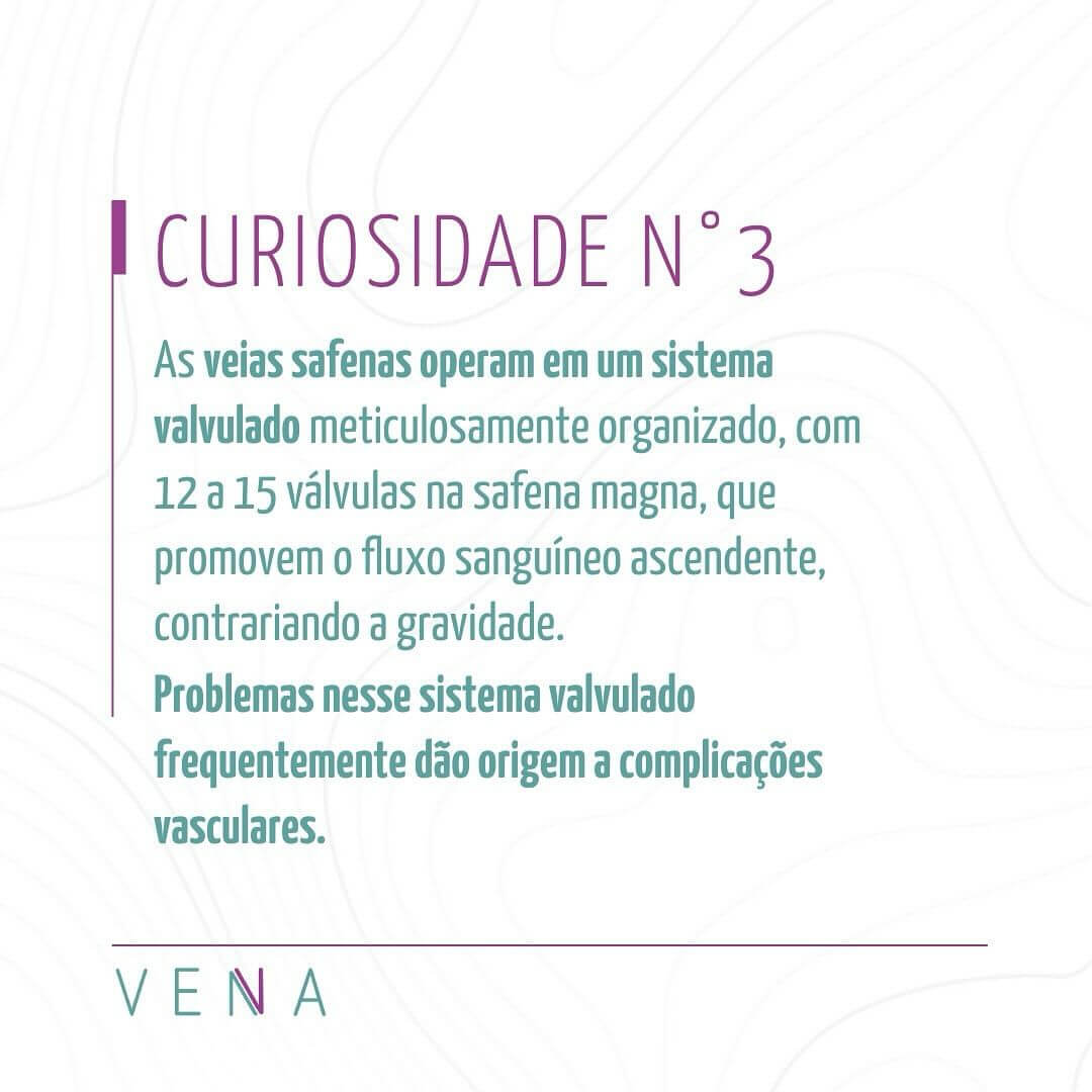 veia-safena