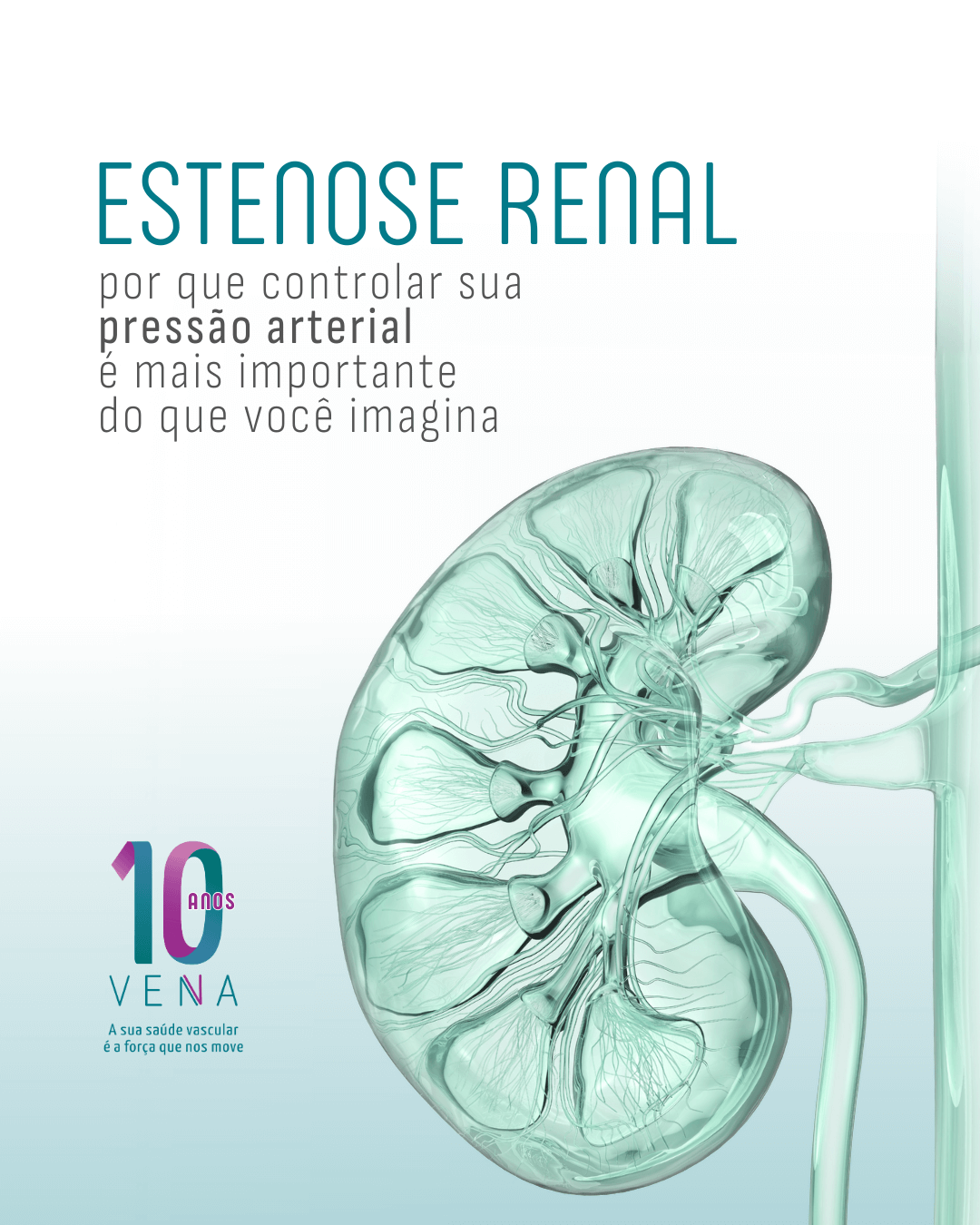 estenose-renal