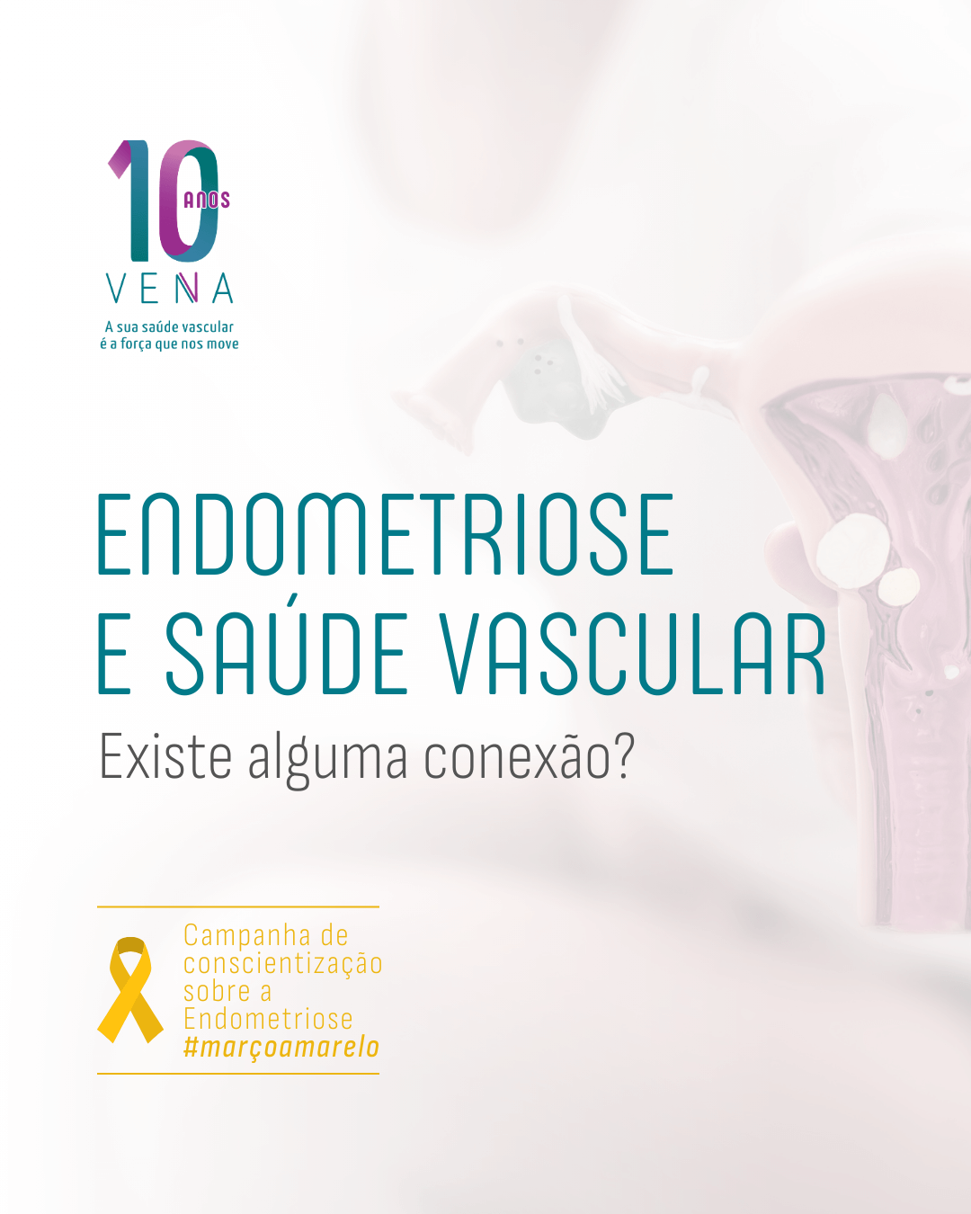 endometriose-e-saude-vascular